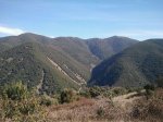 IMG_0447.JPG