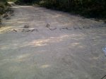 IMG-20120303-02552.jpg