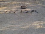 IMG-20120303-02556.jpg