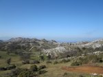 IMG_2009.JPG