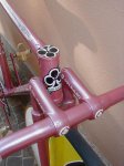 pink_pista_detail_2.jpg