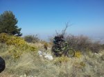 IMG-20120312-WA0000.jpg