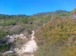 110320121445.jpg