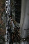 IMG_4740_x.jpg