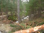 DSCN0421_redimensionar.JPG