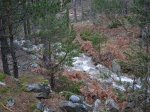 DSCN0423_redimensionar.JPG