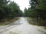 DSCN0425_redimensionar.JPG
