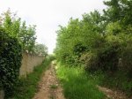 IMG_0749.JPG