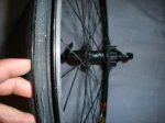 DSC00187.jpg