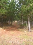 DSCN1549.JPG