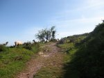 IMG_0283.jpg