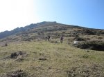 IMG_2058.JPG