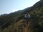 2012-03-03 11.25.41.jpg