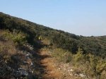 2012-03-03 11.12.54.jpg
