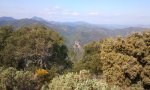 2012-03-03 12.15.16.jpg