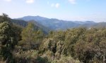 2012-03-03 12.15.37.jpg