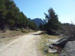20120313_113215.jpg