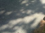 13032012877.jpg