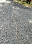 13032012879.jpg