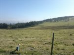 13032012881.jpg