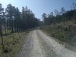 13032012883.jpg