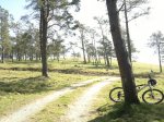 13032012886.jpg