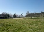 13032012889.jpg