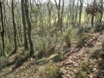 13032012891.jpg