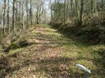 13032012893.jpg