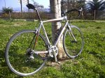 IMG-20120313-01089.jpg
