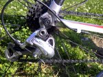 IMG-20120313-01091.jpg