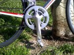 IMG-20120313-01092.jpg