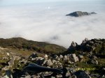 6-11-10 (7) (Large).JPG
