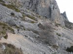 Photo22.JPG