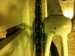 img1420pn.jpg