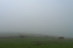 P1100191a.jpg