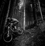 IMG_4228 - copiaNew.jpg