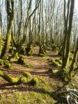 2012-03-15 16.51.26.jpg