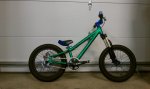 Lil Shredder 16 Hardtail bike.jpg