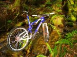 DSC09041_640x480.jpg