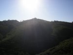 P1017291.JPG