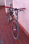 IMAG0155.jpg