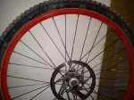 DSC00103.jpg