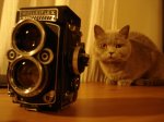 dsc00381jt.jpg