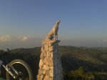2012-03-16 18.39.45.jpg