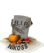 NIKOSS.gif
