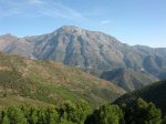 IMG_20120317_100103.jpg