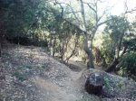 DSC08225.JPG