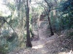 DSC08223.JPG