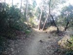 DSC08222.JPG